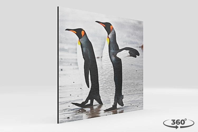 360 view of the product