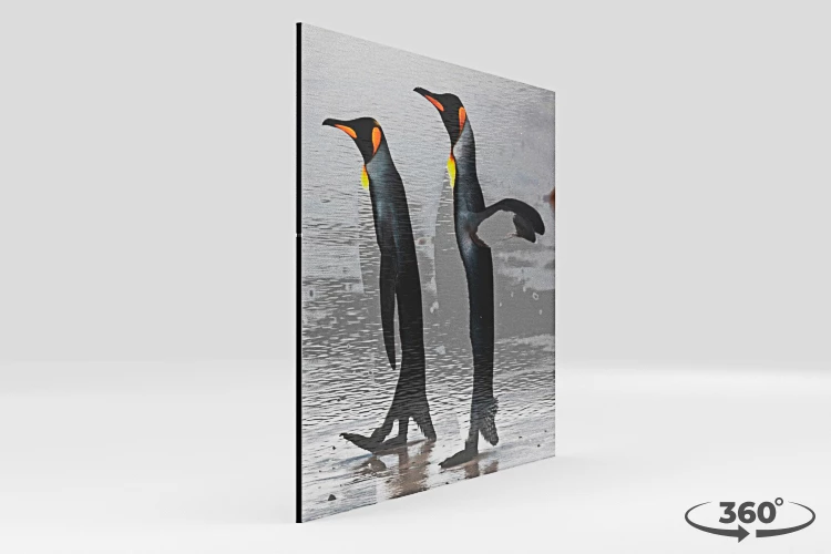 360 view of the product