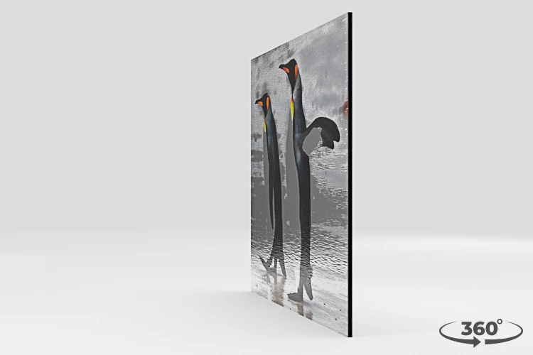 360 view of the product