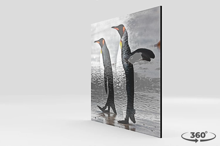 360 view of the product