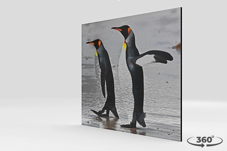 360 view of the product