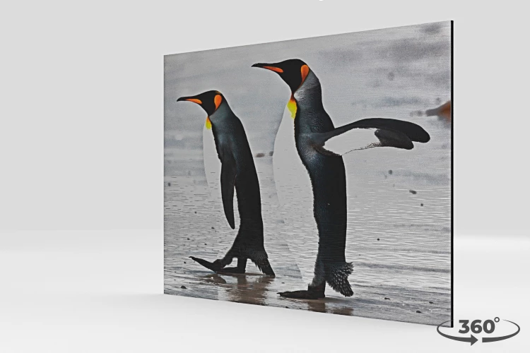 360 view of the product