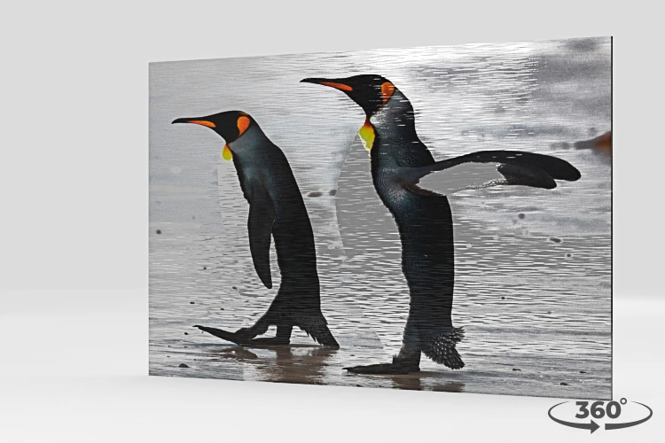 360 view of the product