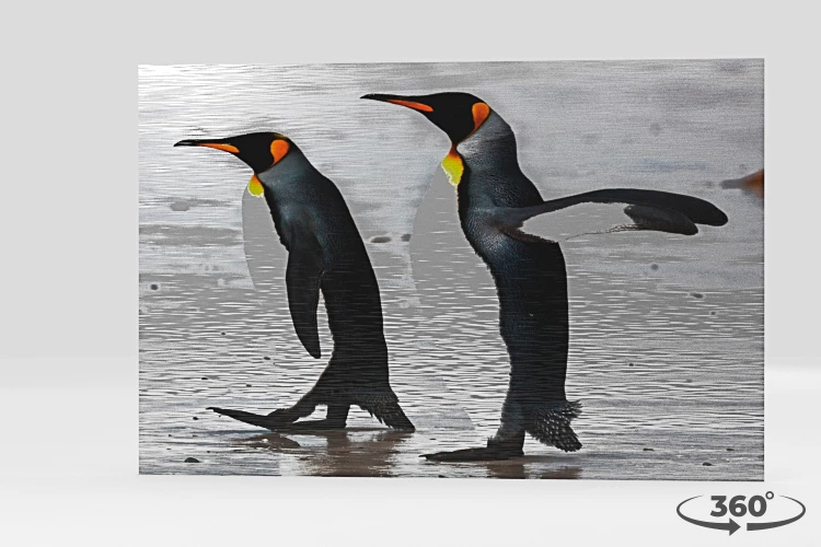 360 view of the product