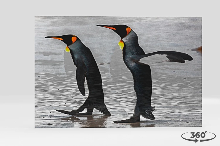 360 view of the product