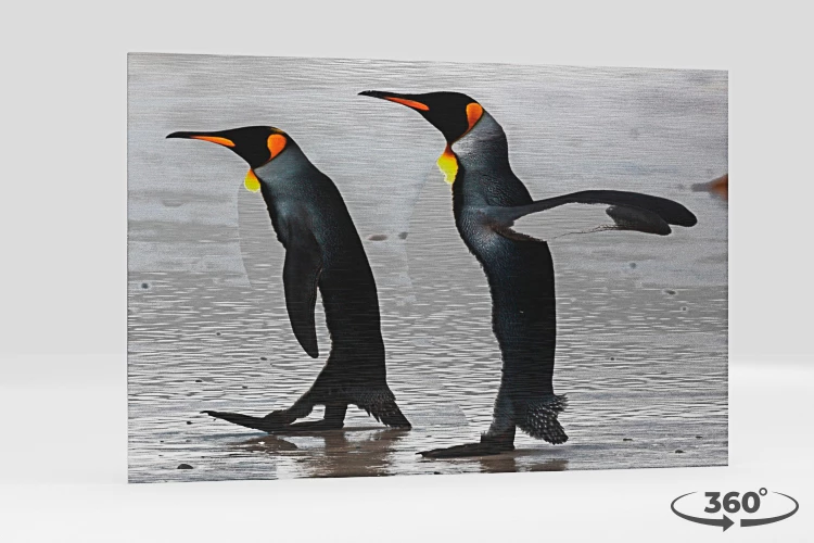 360 view of the product