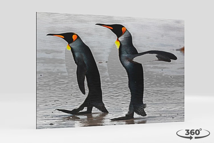 360 view of the product