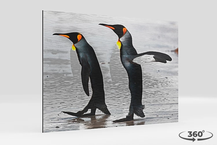 360 view of the product