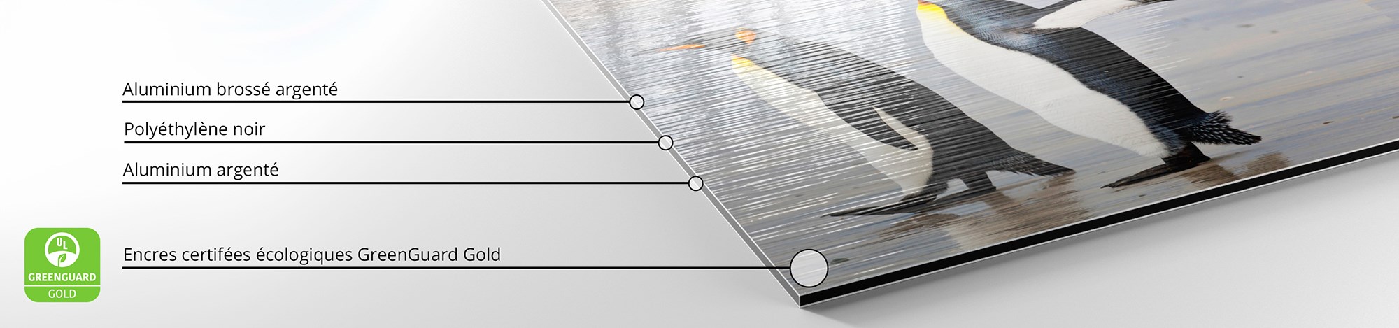 Détail d'une impression sur Dibond Brossé avec des encres écologiques certifiées Greenguard Gold.