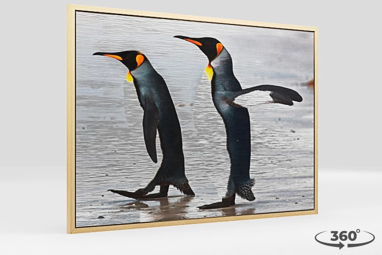 360 view of the product