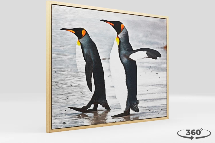 360 view of the product