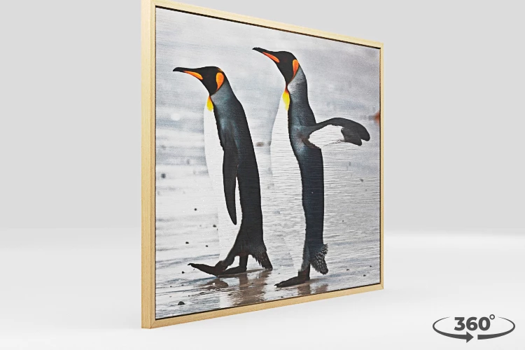 360 view of the product