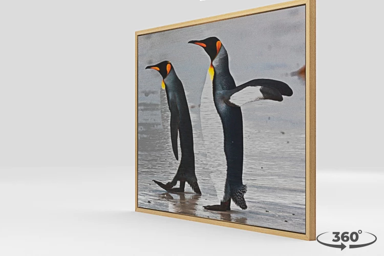 360 view of the product