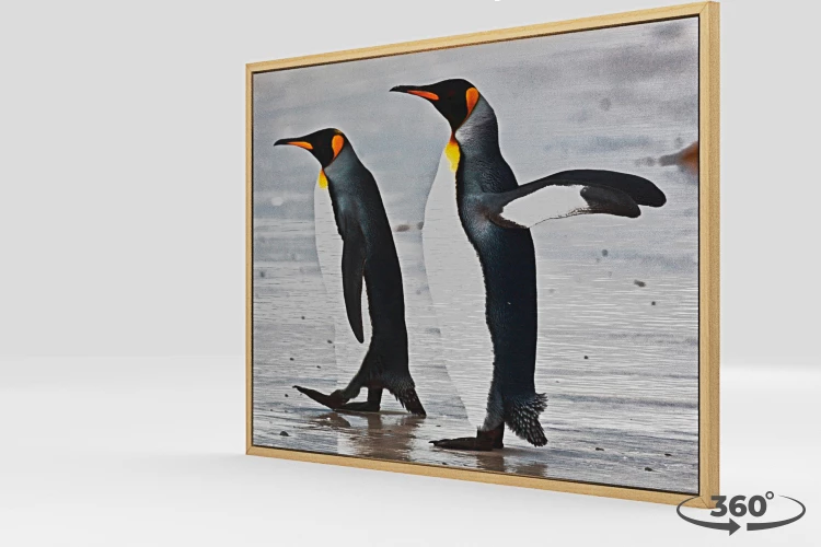 360 view of the product