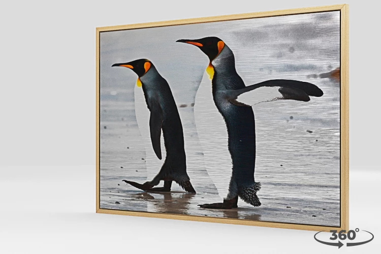 360 view of the product