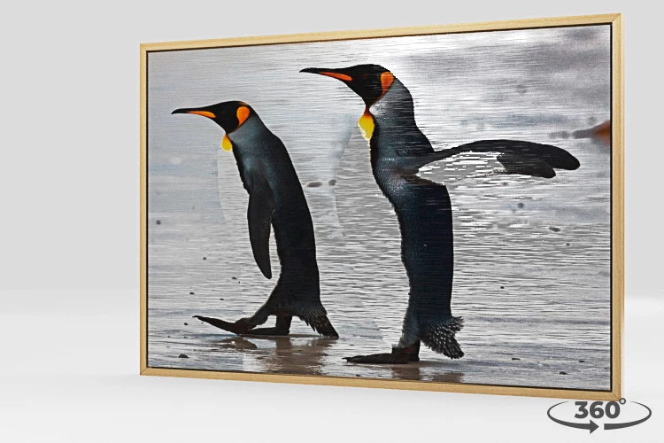 360 view of the product