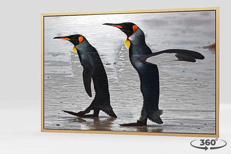 360 view of the product