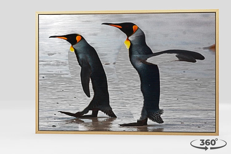 360 view of the product