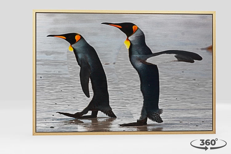 360 view of the product