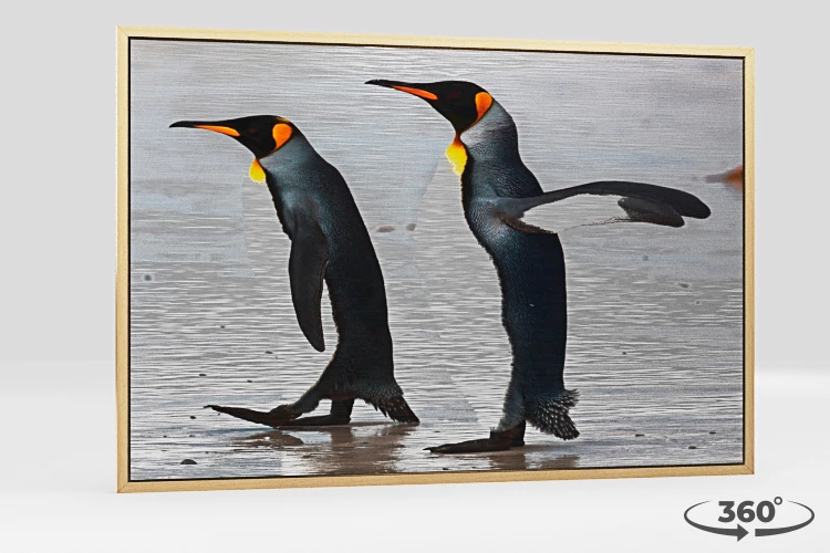 360 view of the product