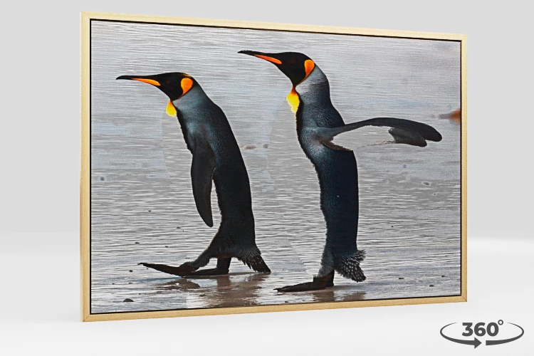 360 view of the product