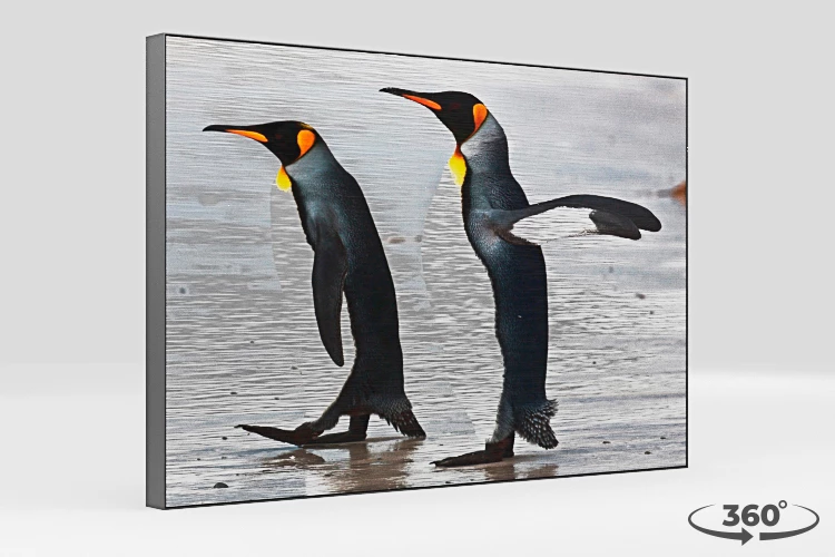 360 view of the product