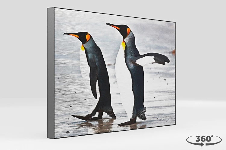 360 view of the product