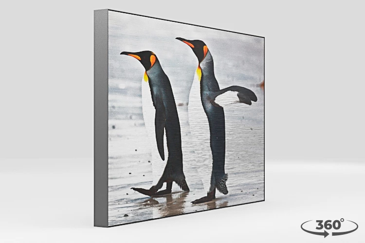 360 view of the product