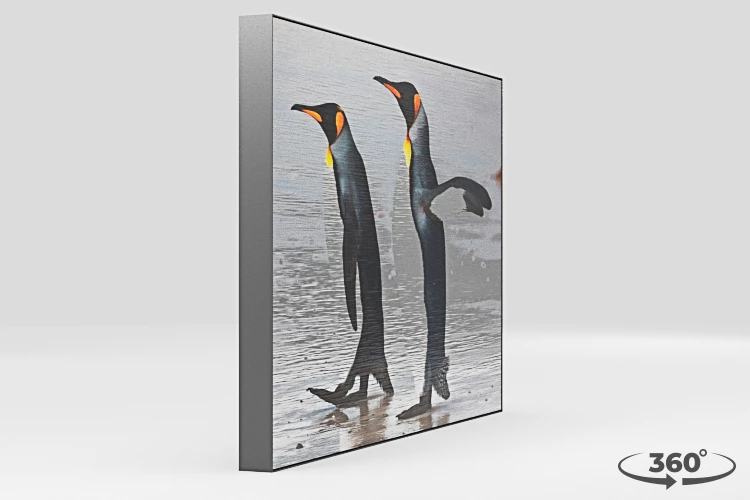 360 view of the product