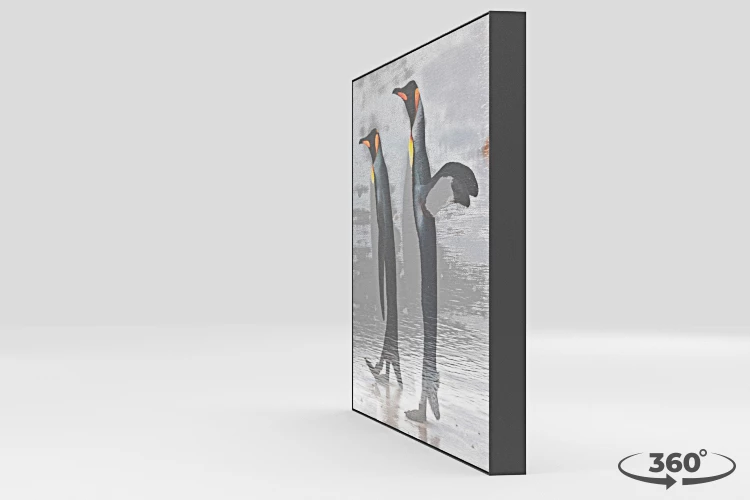 360 view of the product