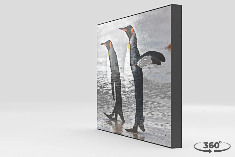 360 view of the product