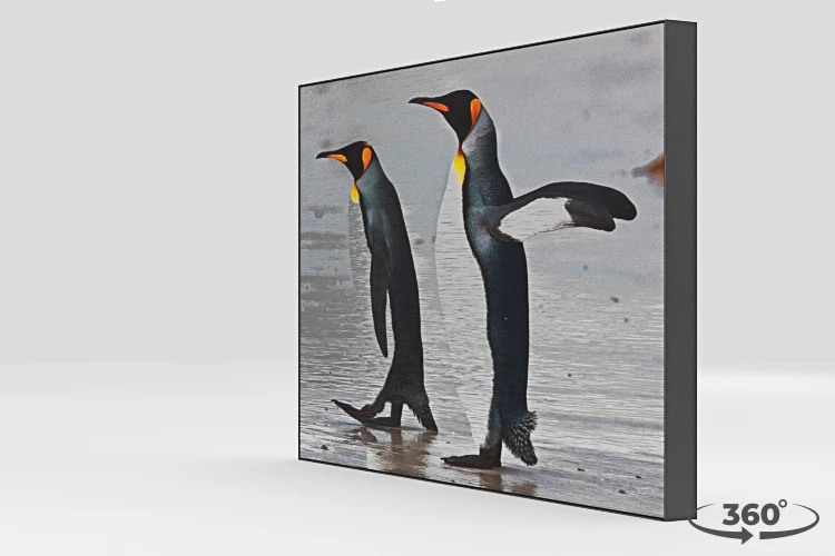 360 view of the product