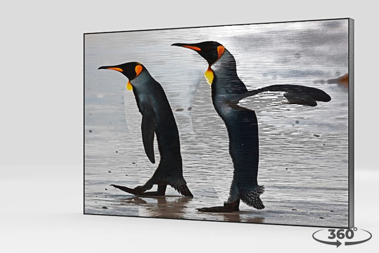 360 view of the product