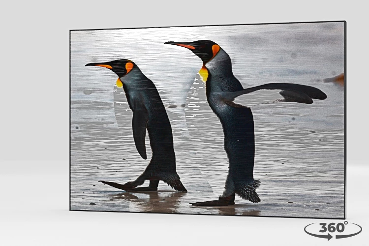 360 view of the product