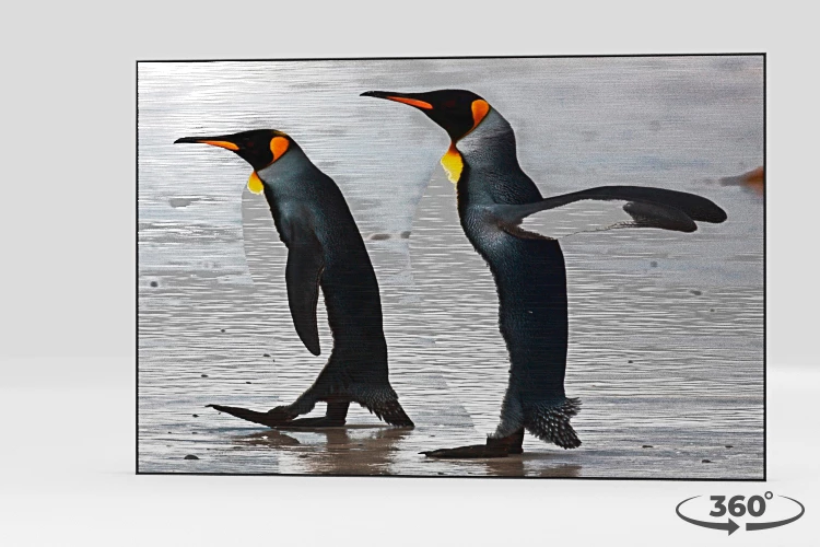 360 view of the product