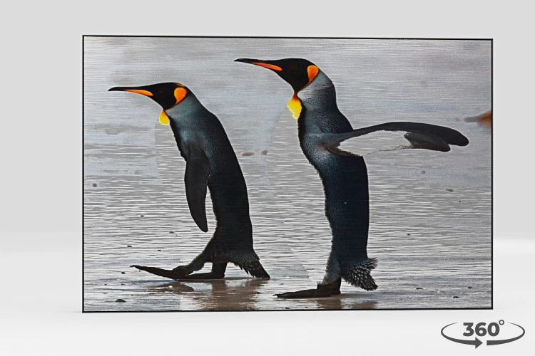 360 view of the product