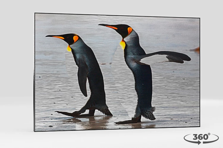 360 view of the product