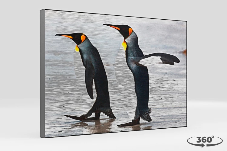 360 view of the product