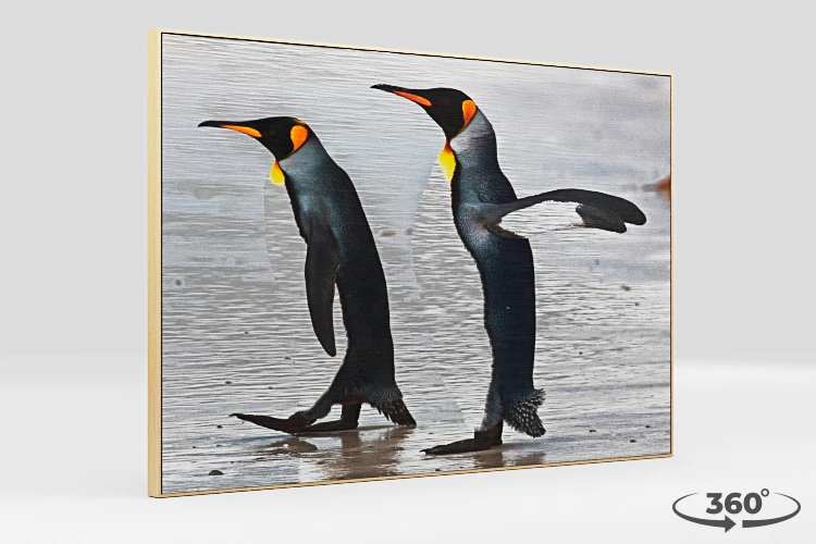 360 view of the product