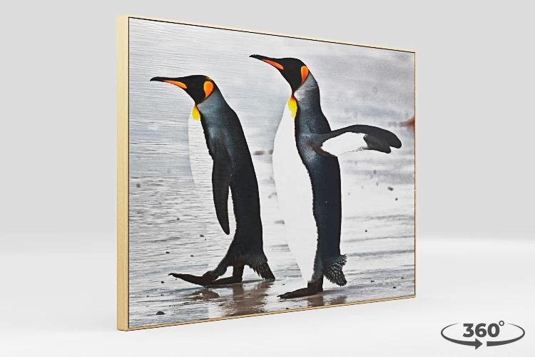 360 view of the product