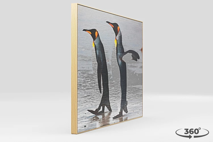 360 view of the product