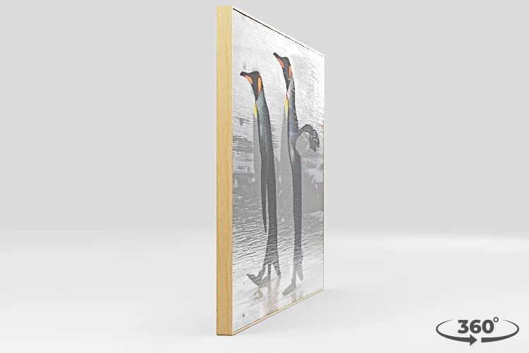 360 view of the product