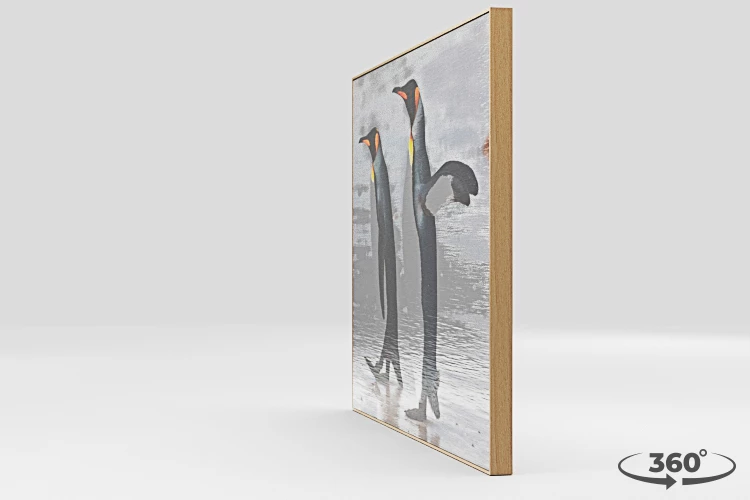 360 view of the product