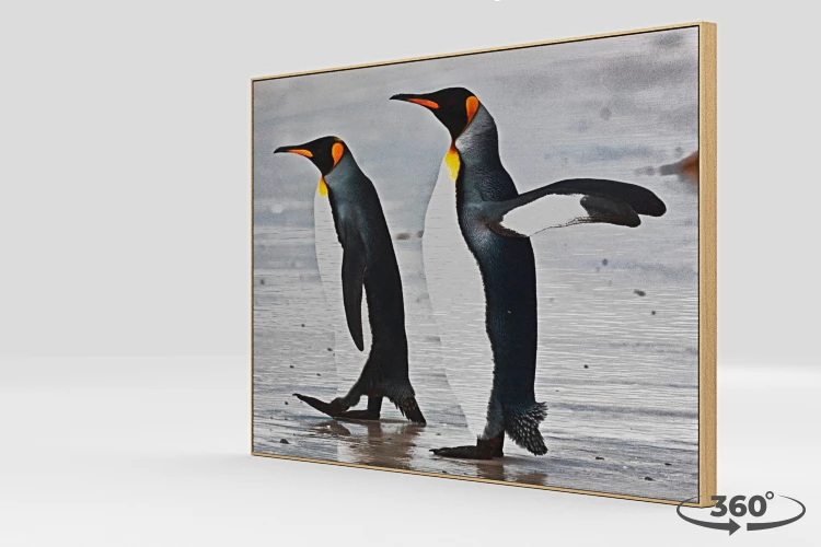 360 view of the product