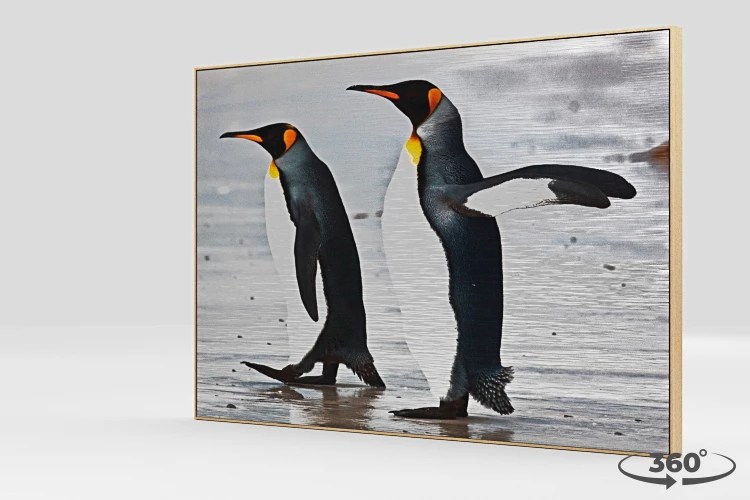 360 view of the product