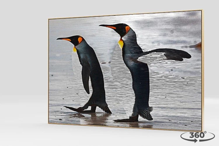 360 view of the product