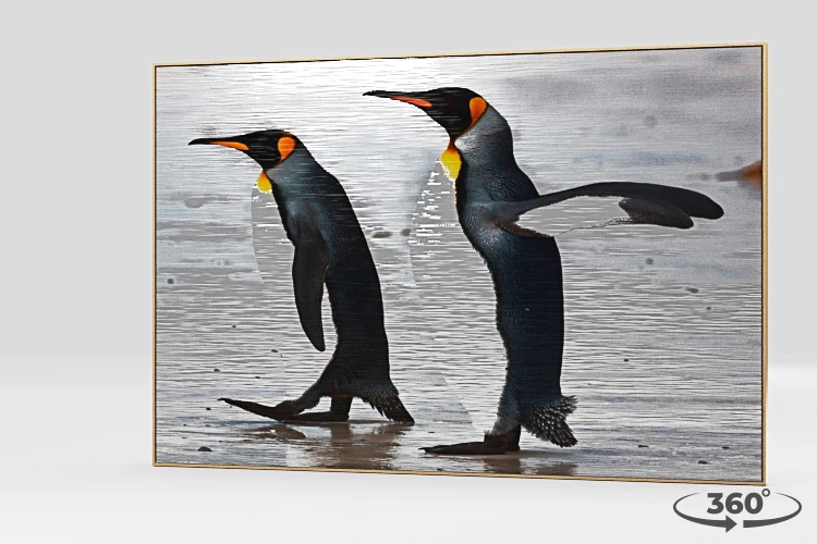 360 view of the product