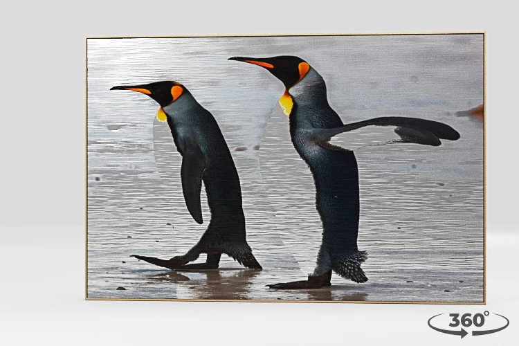 360 view of the product