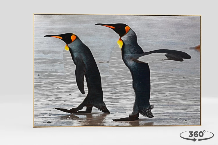 360 view of the product