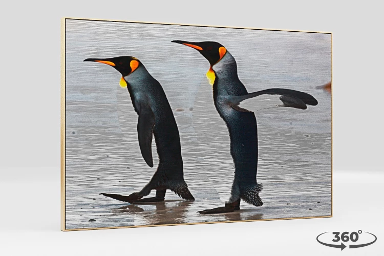 360 view of the product